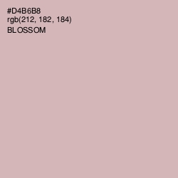 #D4B6B8 - Blossom Color Image