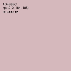 #D4B8BC - Blossom Color Image