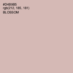 #D4B9B5 - Blossom Color Image