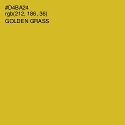 #D4BA24 - Golden Grass Color Image