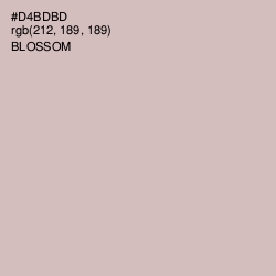 #D4BDBD - Blossom Color Image