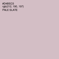 #D4BEC5 - Pale Slate Color Image