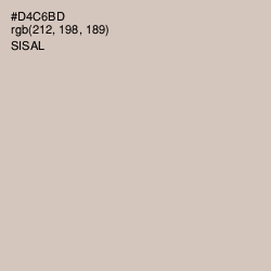 #D4C6BD - Sisal Color Image