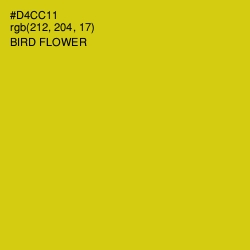 #D4CC11 - Bird Flower Color Image