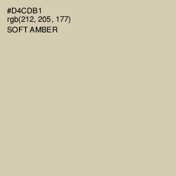 #D4CDB1 - Soft Amber Color Image