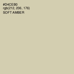 #D4CEB0 - Soft Amber Color Image