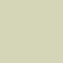 #D4D6B7 - Sisal Color Image