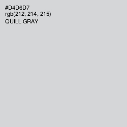 #D4D6D7 - Quill Gray Color Image