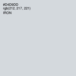 #D4D9DD - Iron Color Image