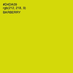 #D4DA09 - Barberry Color Image