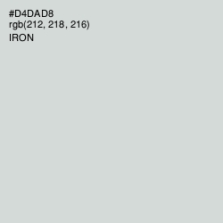 #D4DAD8 - Iron Color Image