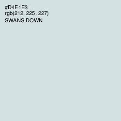 #D4E1E3 - Swans Down Color Image