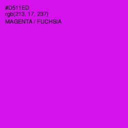 #D511ED - Magenta / Fuchsia Color Image