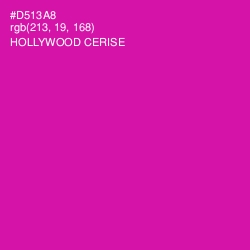 #D513A8 - Hollywood Cerise Color Image