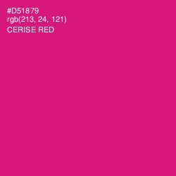 #D51879 - Cerise Red Color Image