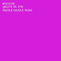#D51EDB - Razzle Dazzle Rose Color Image