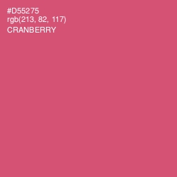 #D55275 - Cranberry Color Image