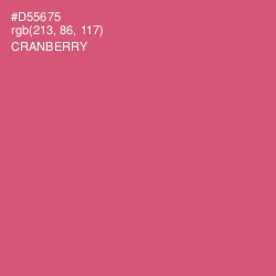 #D55675 - Cranberry Color Image