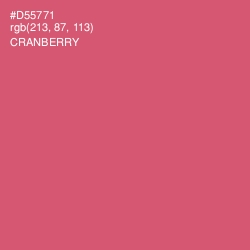 #D55771 - Cranberry Color Image