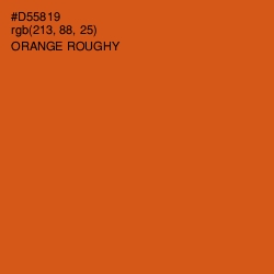 #D55819 - Orange Roughy Color Image