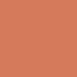 #D57A5B - Raw Sienna Color Image