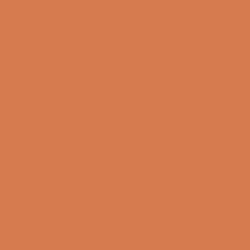 #D57B4F - Raw Sienna Color Image