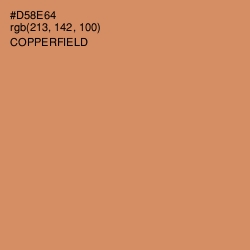 #D58E64 - Copperfield Color Image