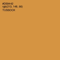 #D59442 - Tussock Color Image