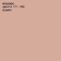 #D5AB9C - Eunry Color Image