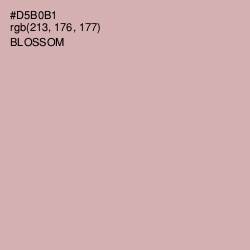 #D5B0B1 - Blossom Color Image