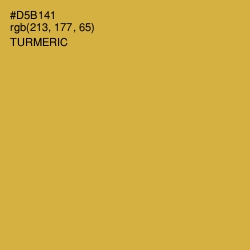 #D5B141 - Turmeric Color Image