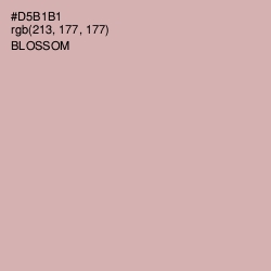 #D5B1B1 - Blossom Color Image