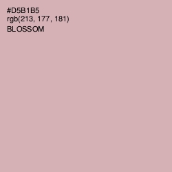 #D5B1B5 - Blossom Color Image
