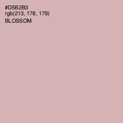 #D5B2B3 - Blossom Color Image