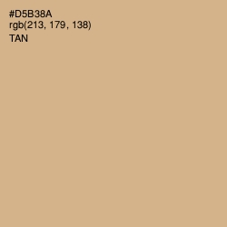 #D5B38A - Tan Color Image