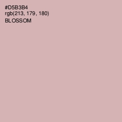 #D5B3B4 - Blossom Color Image