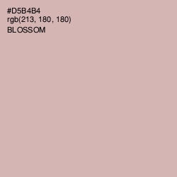 #D5B4B4 - Blossom Color Image