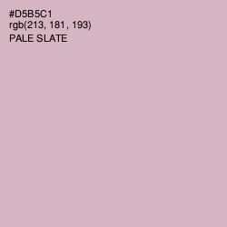 #D5B5C1 - Pale Slate Color Image