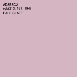 #D5B5C2 - Pale Slate Color Image