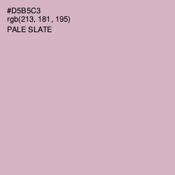 #D5B5C3 - Pale Slate Color Image