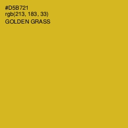 #D5B721 - Golden Grass Color Image