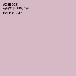 #D5B9C5 - Pale Slate Color Image