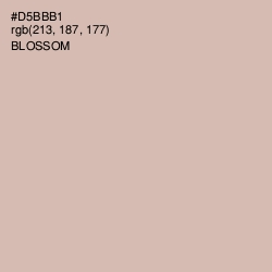 #D5BBB1 - Blossom Color Image