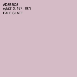 #D5BBC5 - Pale Slate Color Image