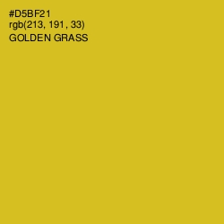 #D5BF21 - Golden Grass Color Image