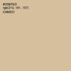 #D5BF9D - Cameo Color Image