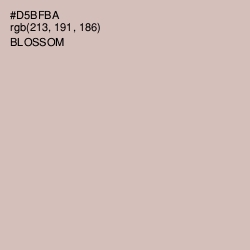 #D5BFBA - Blossom Color Image