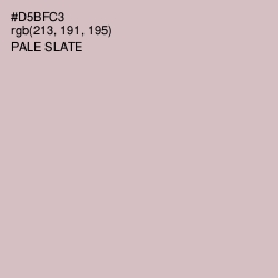 #D5BFC3 - Pale Slate Color Image