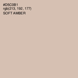 #D5C0B1 - Soft Amber Color Image
