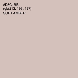 #D5C1BB - Soft Amber Color Image